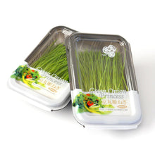 โหลดรูปภาพลงในเครื่องมือใช้ดูของ Gallery Sprout Green onion / ต้นหอมอ่อน / 芽葱 (Menegi)