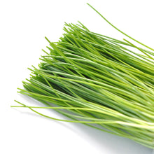 โหลดรูปภาพลงในเครื่องมือใช้ดูของ Gallery Sprout Green onion / ต้นหอมอ่อน / 芽葱 (Menegi)