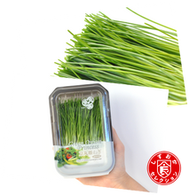 โหลดรูปภาพลงในเครื่องมือใช้ดูของ Gallery Sprout Green onion / ต้นหอมอ่อน / 芽葱 (Menegi)