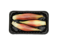 โหลดรูปภาพลงในเครื่องมือใช้ดูของ Gallery Japanese Ginger / เมียวงะ (ดอกขิงญี่ปุ่น) / 茗荷(Myoga)