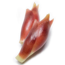 โหลดรูปภาพลงในเครื่องมือใช้ดูของ Gallery Japanese Ginger / เมียวงะ (ดอกขิงญี่ปุ่น) / 茗荷(Myoga)