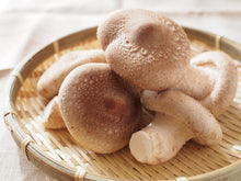 โหลดรูปภาพลงในเครื่องมือใช้ดูของ Gallery Shiitake mushroom / เห็ดชิตาเกะ / とのさま椎茸