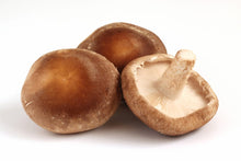 โหลดรูปภาพลงในเครื่องมือใช้ดูของ Gallery Shiitake mushroom / เห็ดชิตาเกะ / とのさま椎茸