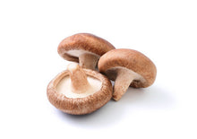 โหลดรูปภาพลงในเครื่องมือใช้ดูของ Gallery Shiitake mushroom / เห็ดชิตาเกะ / とのさま椎茸