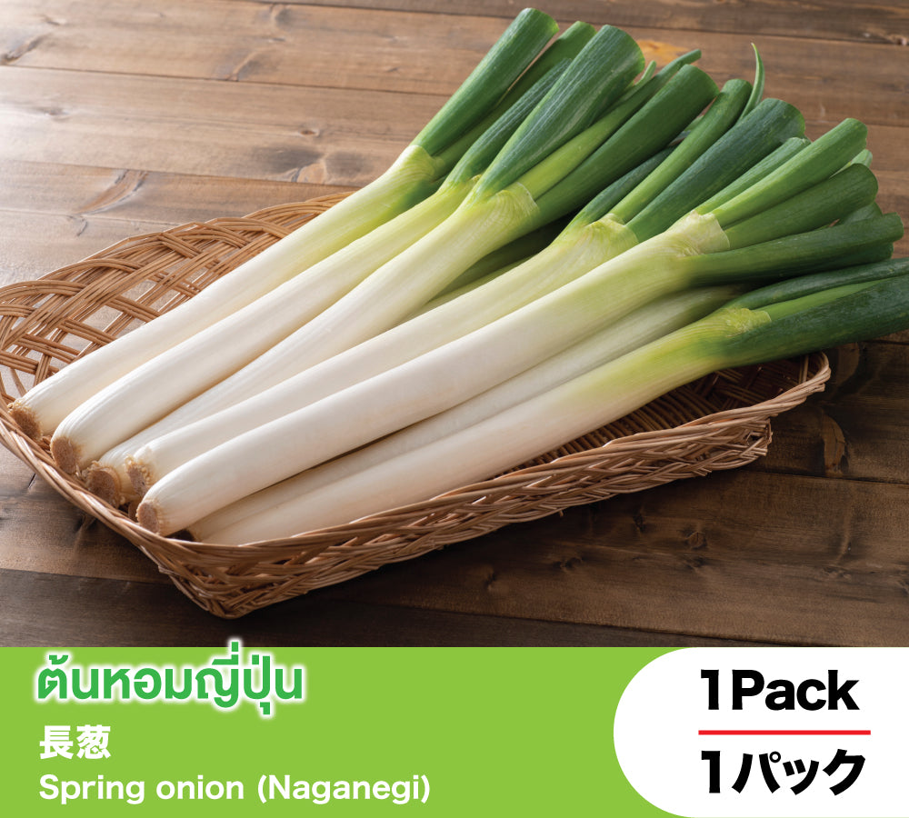Spring onion (Naganegi)