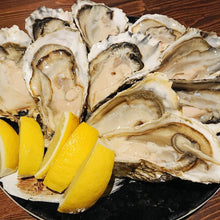Load image into Gallery viewer, Frozen Shellfish Oysters
