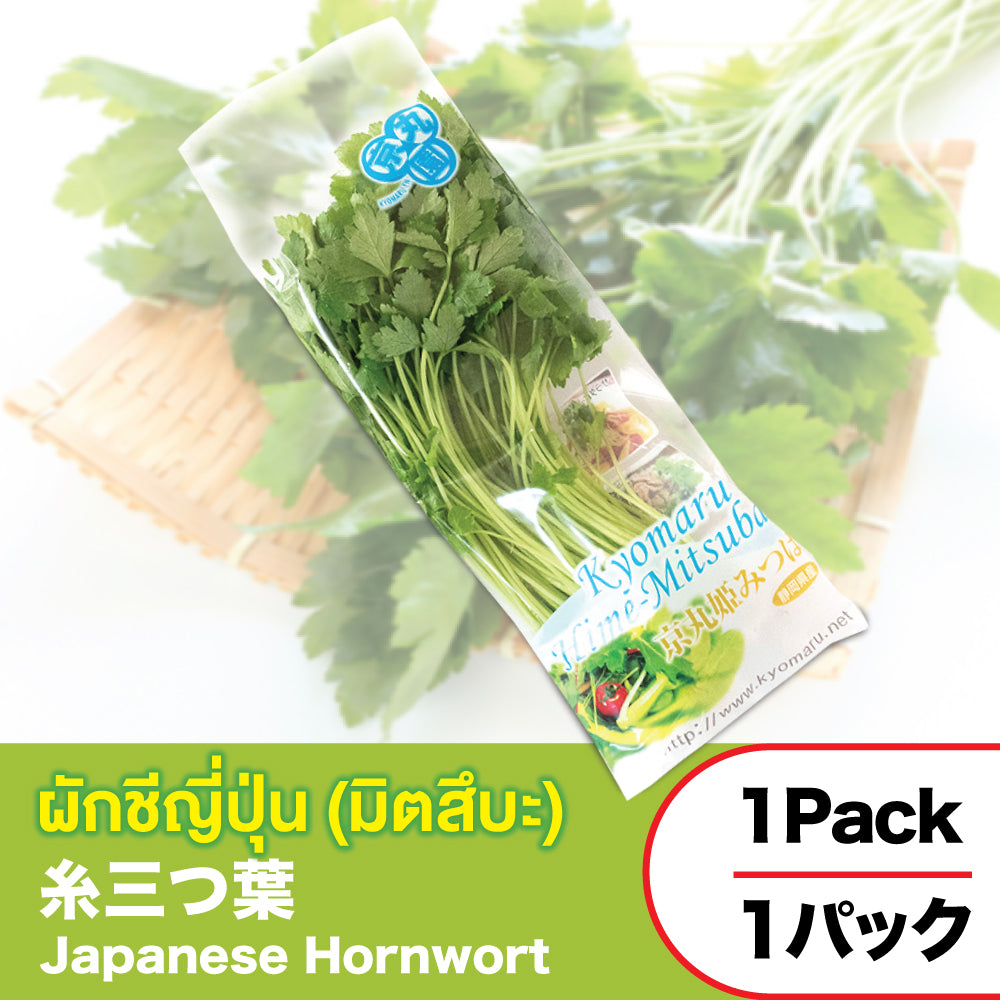 Japanese Hornwort