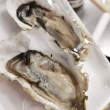 Load image into Gallery viewer, Oyster with shell 2 pcs/pack
