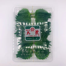 Load image into Gallery viewer, Shiso Leaf Pack (Pack 10 pcs.)
