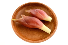 Load image into Gallery viewer, Japanese Ginger
