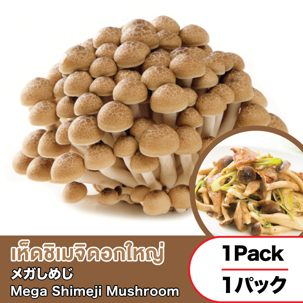 Mega Shimeji Mushroom