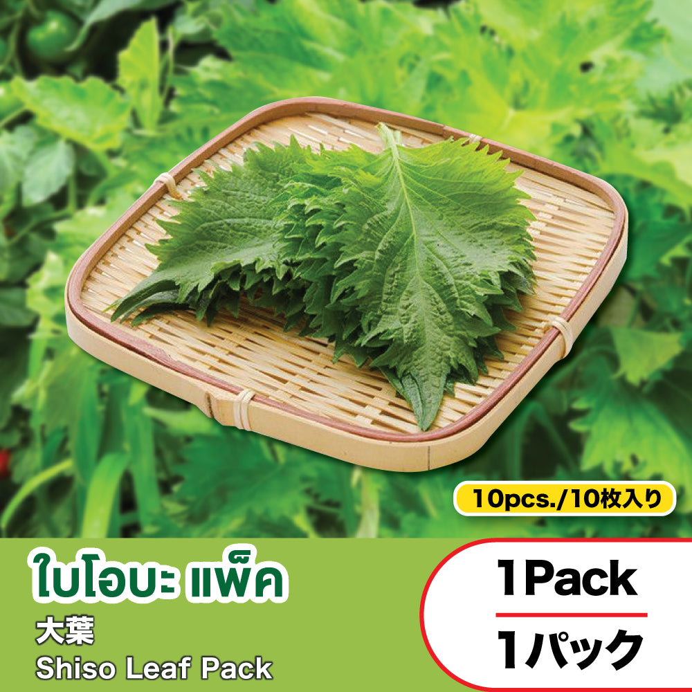 Shiso Leaf Pack (Pack 10 pcs.)